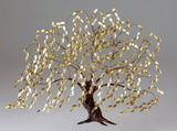 Copper Willow Leaf Tree 3 ft